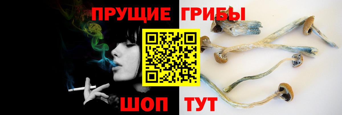 Псилоцибиновые грибы GOLDEN TEACHER  Вход с VPN  Борисоглебск 